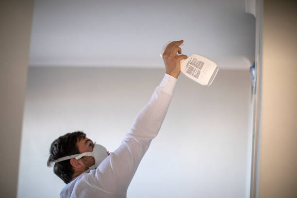 Crawl Space Mold Removal in Merkel, TX