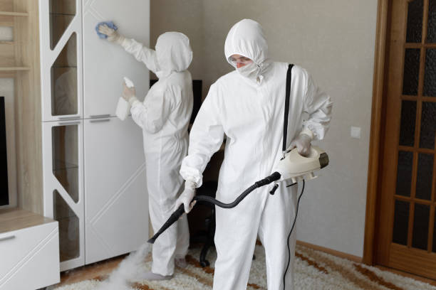 Best Commercial Mold Removal  in Merkel, TX