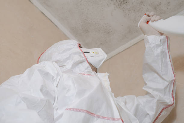 Home Mold Removal in Merkel, TX